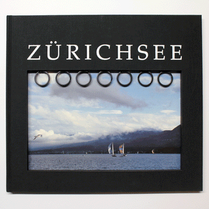 Zürichsee 1995