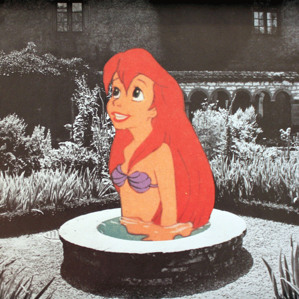 Ariel in Schaffhausen