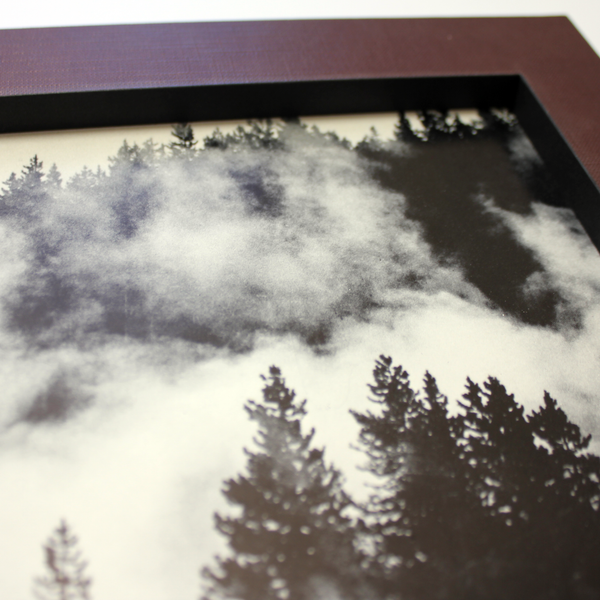 Nebel + Wald